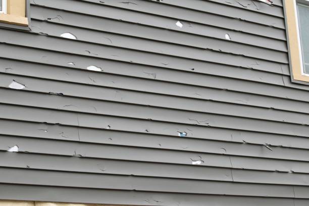 Best Siding Removal and Disposal  in Hickman, NE